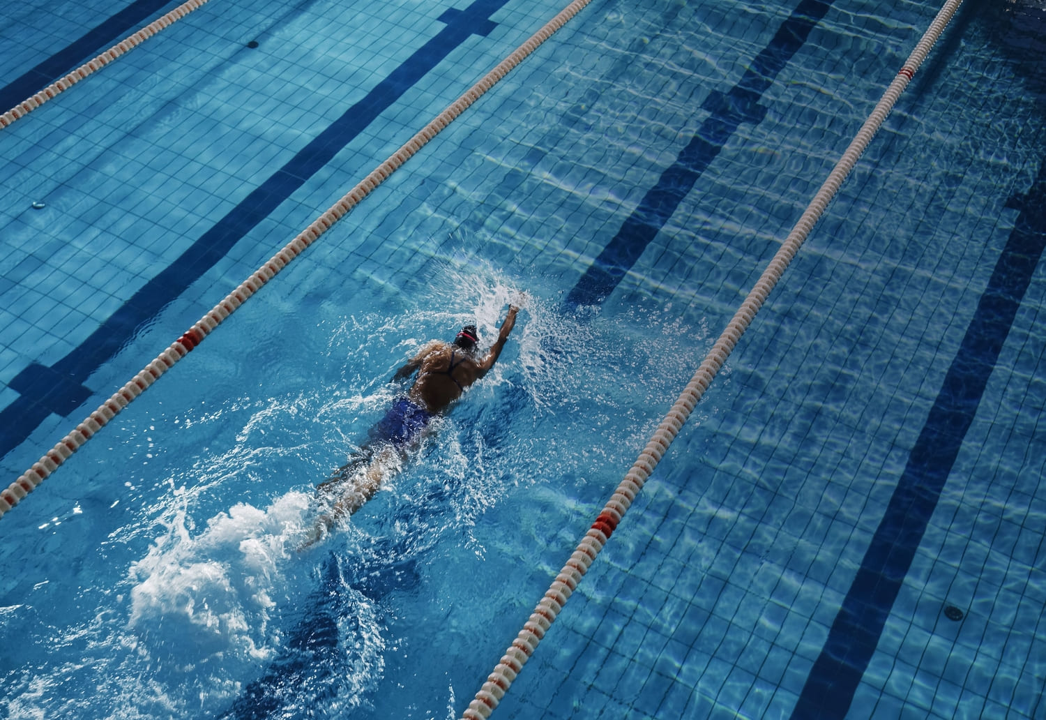 Lap Pool