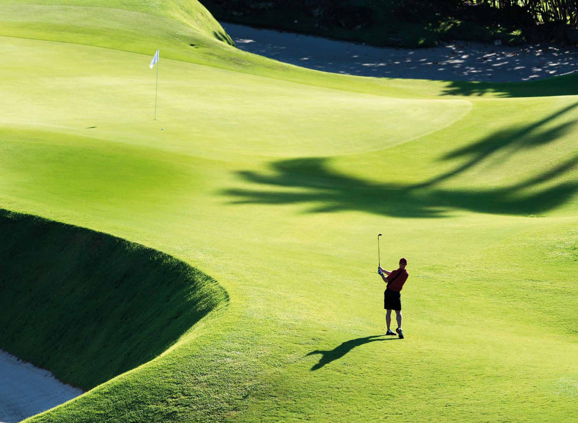 Golf court
