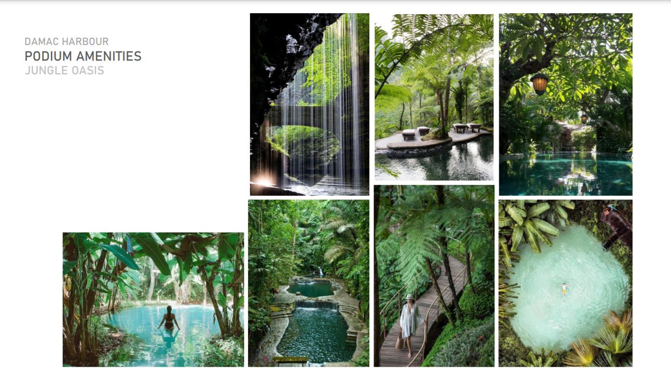 JUNGLE OASIS