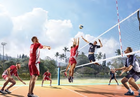 Volleyball Court