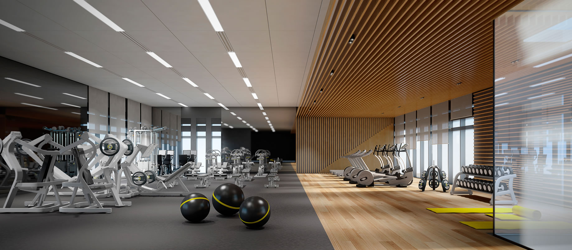 Outdoor & Indoor Gyms