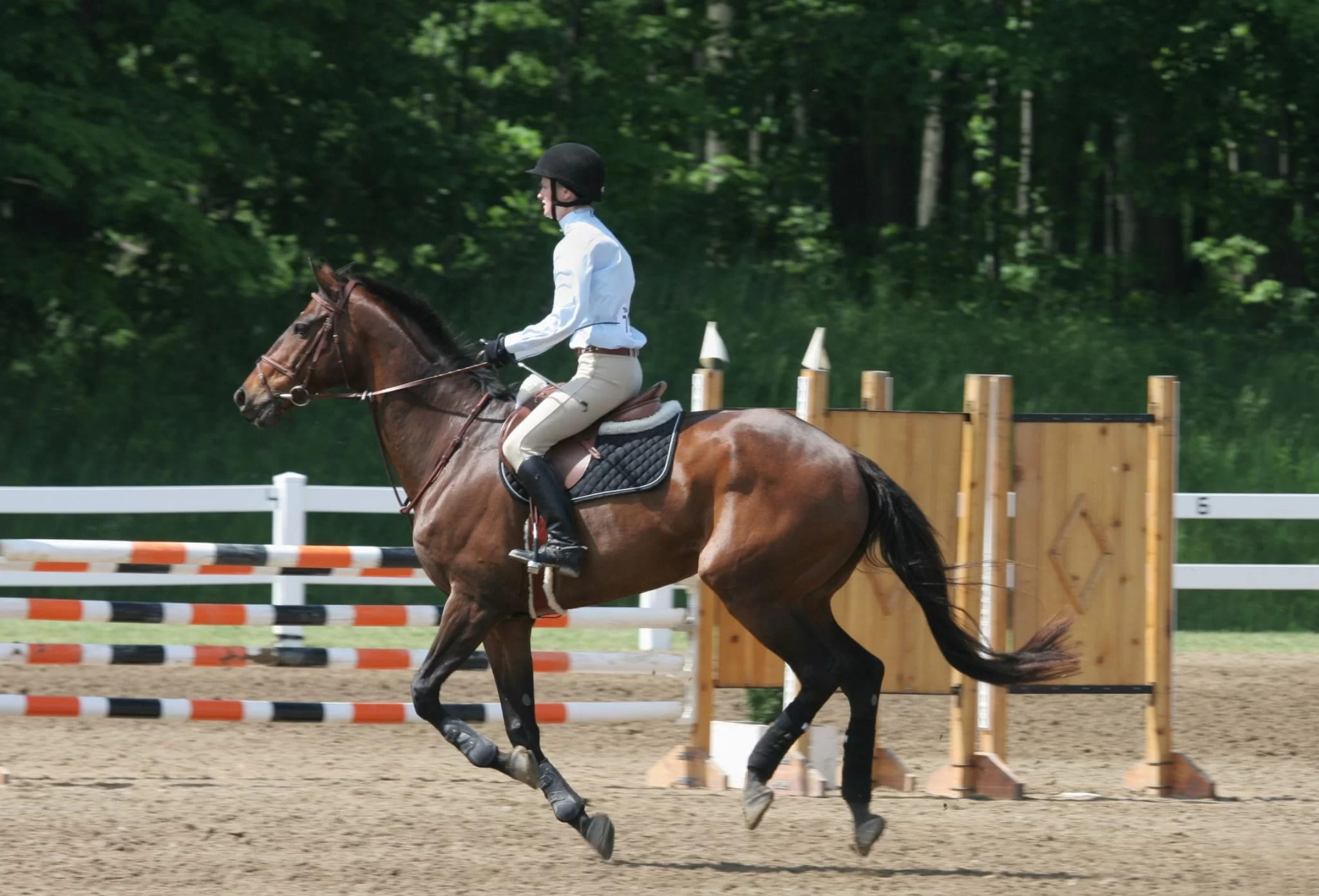 Horse Riding Course