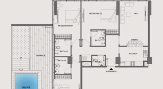 V-Suites