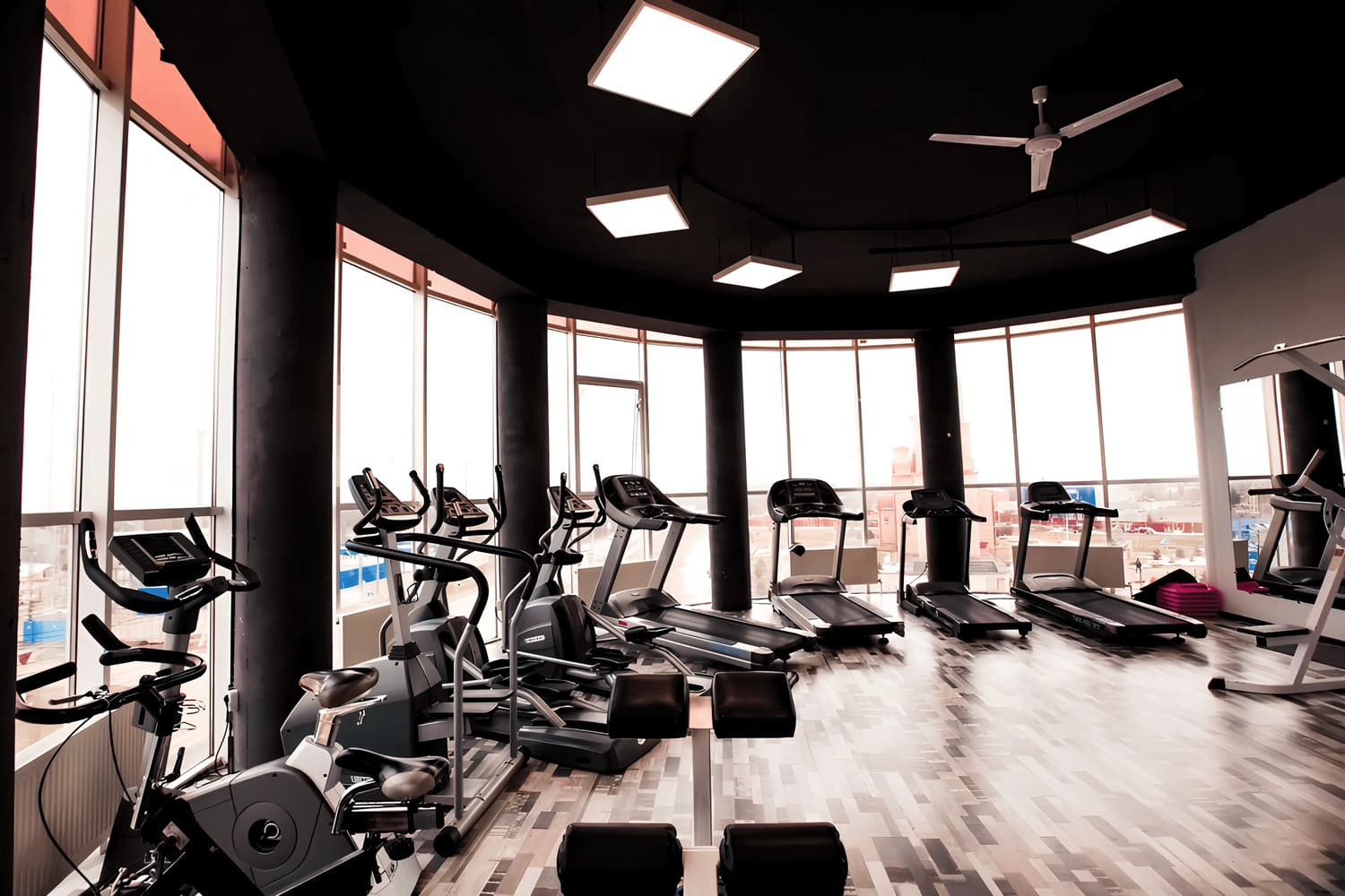 Gym & Wellness Zone